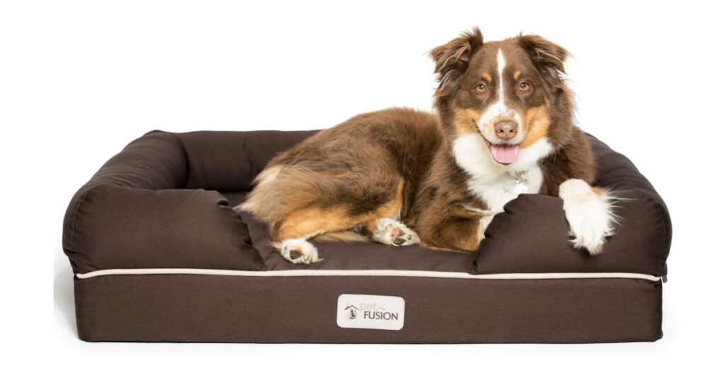 Best Dog Bed For Australian Shepherd