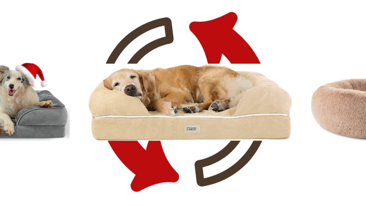 how often should you change your dogs bed