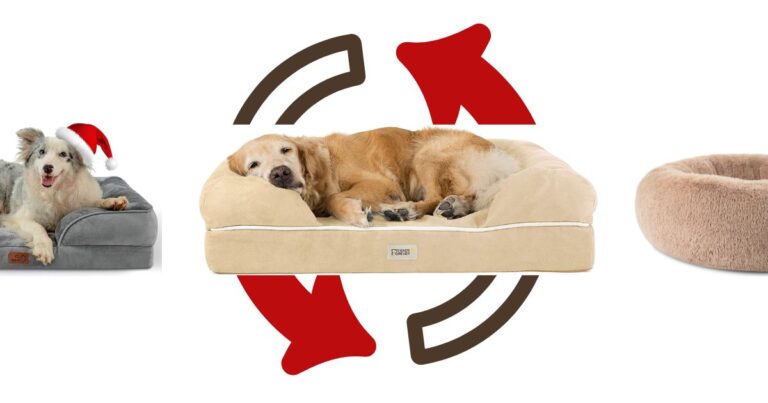 How Often Should You Replace a Dog Bed?