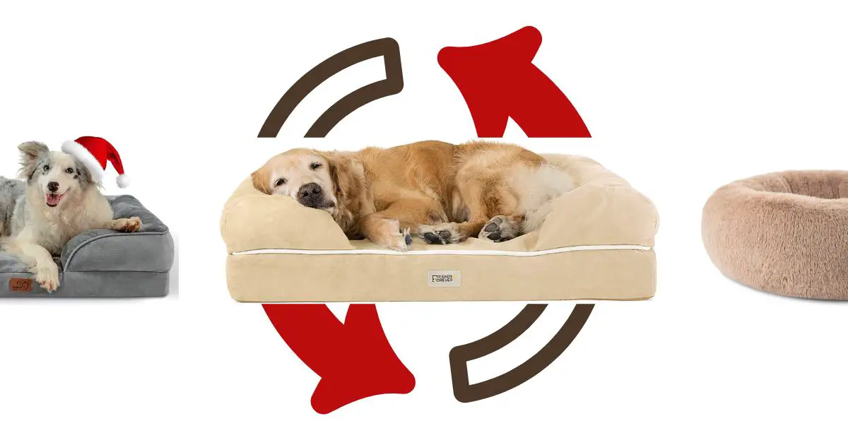 how often should you replace a dog bed