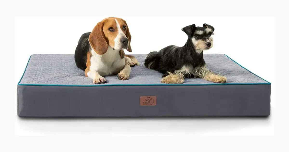 What is an orthopedic dog bed