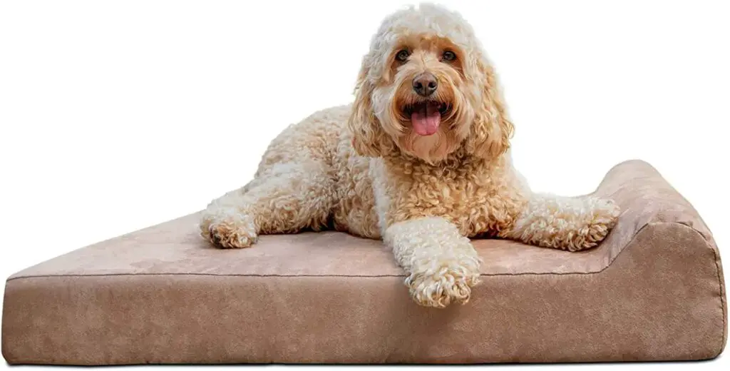Barker orthopedic Dog Bed