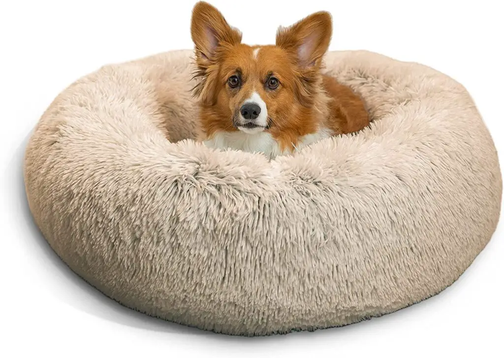 Best Friends by Sheri The Original Calming bed is the best dog beds for boston terriers