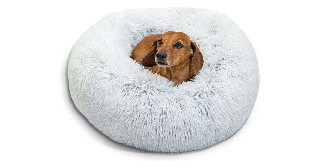 donut shape calming dog bed - do Calming Dog Beds really Work