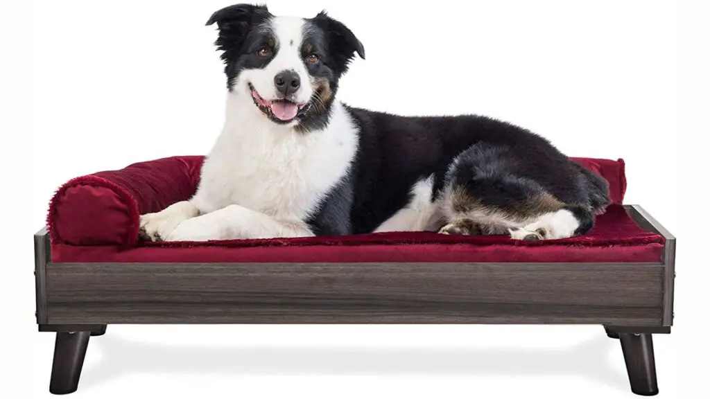 benefits of elevated dog bed - Furhaven Large Elevated Dog Bed Frame