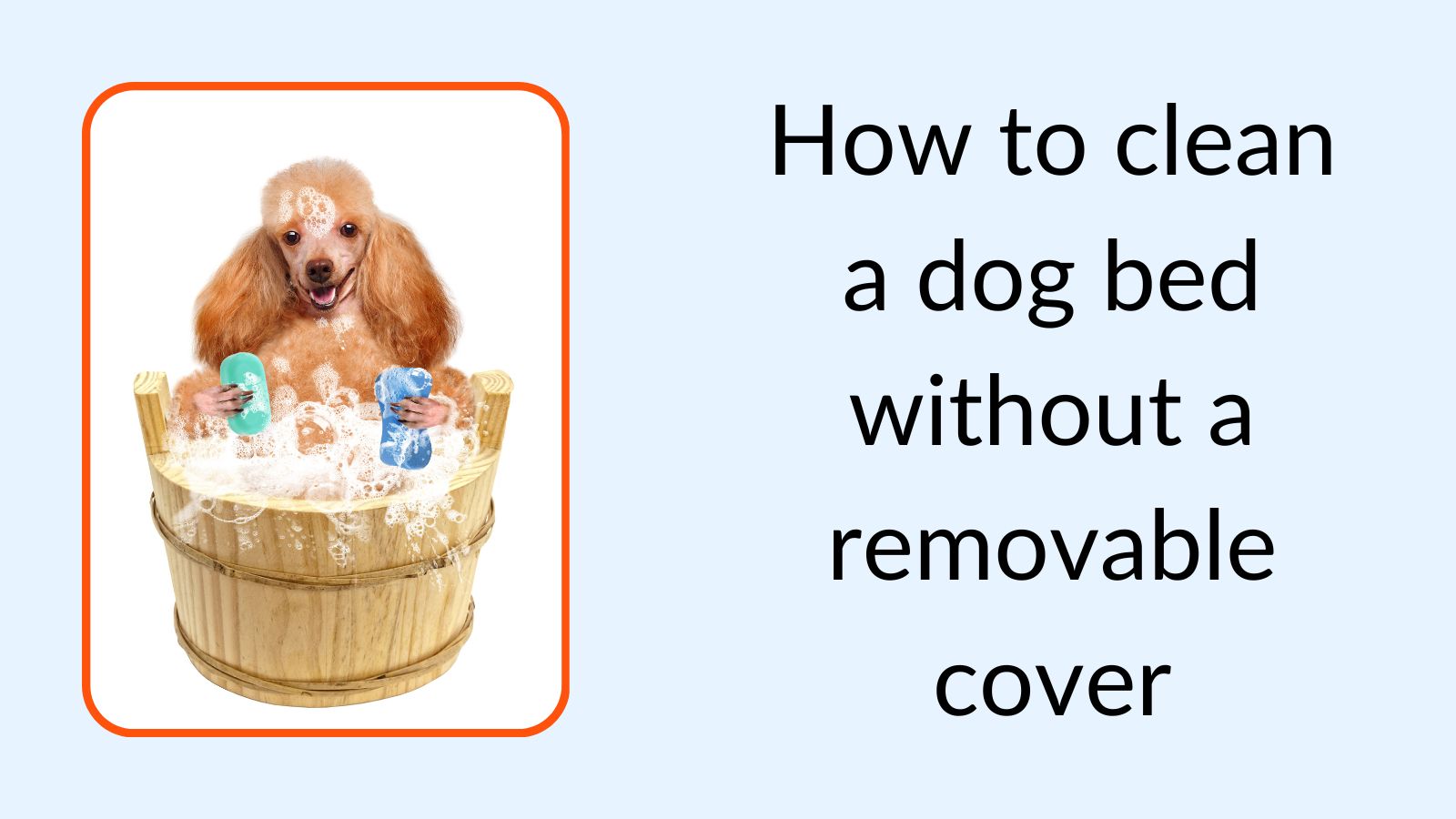 How to clean a dog bed without a removable cover