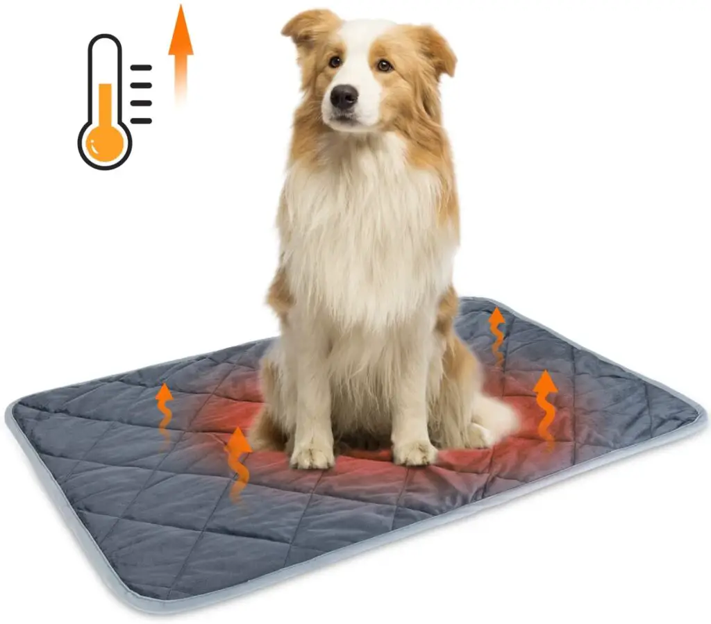Self Heating dog beds