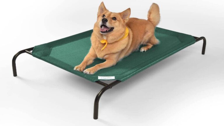 Discover the Benefits of Elevated Dog Beds for Your Friend