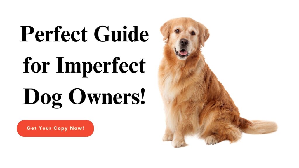Perfect guide for imperfect dog owners