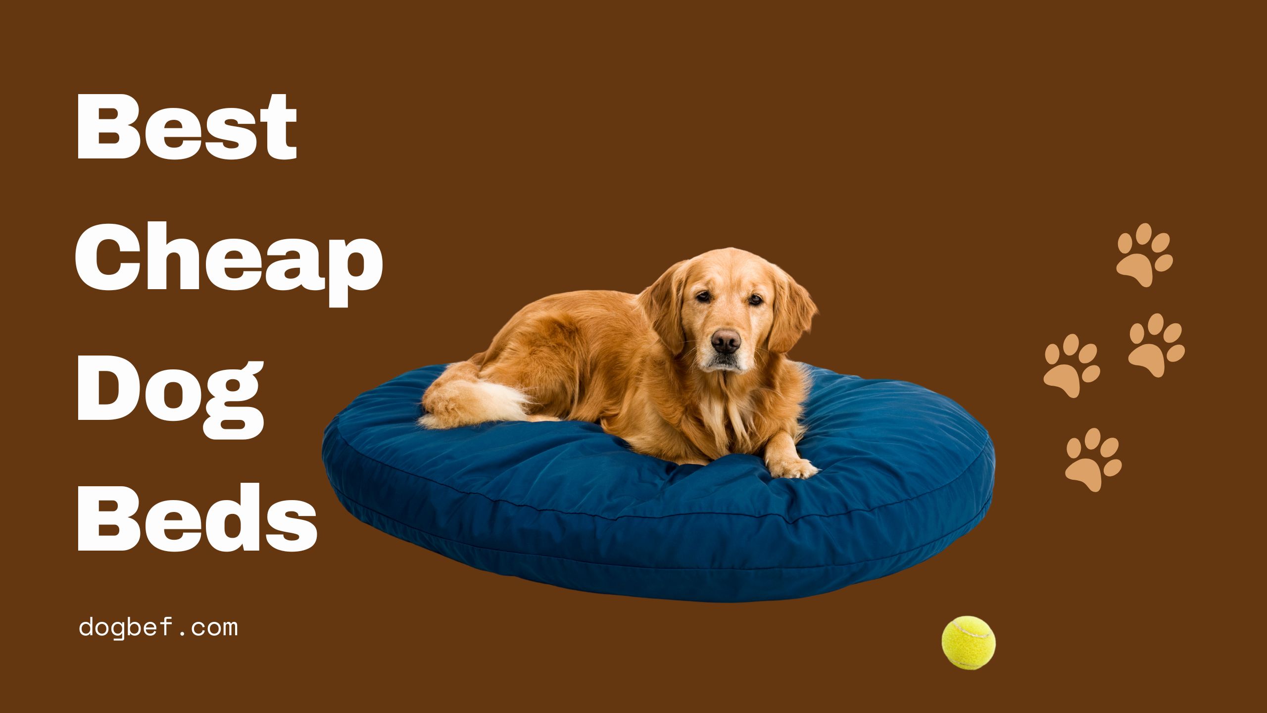 Best Cheap Dog Beds, Affordable dog beds