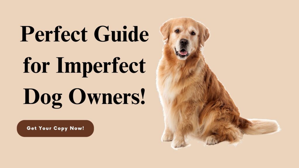 Perfect guide for imperfect dog owners (1)