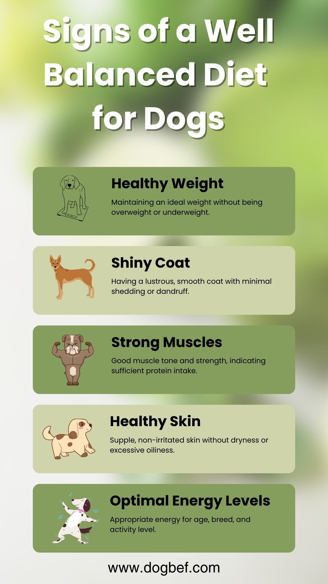 Signs of a Well-Balanced Diet for dogs