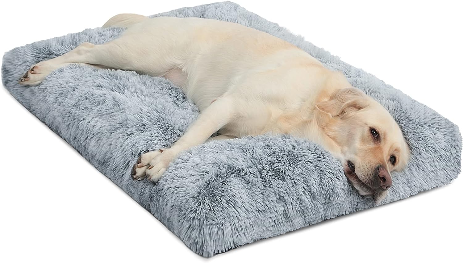 how to choose the right dog bed - dog sleep on the bed