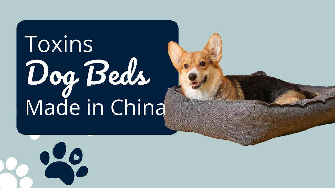 Are Dog Beds Made in China Dangerous? Toxins Found in Dog Beds